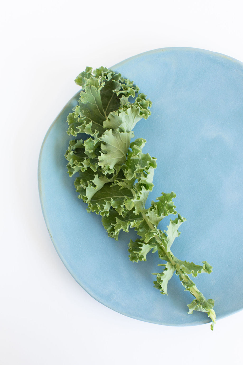Vintage Dinner Plate