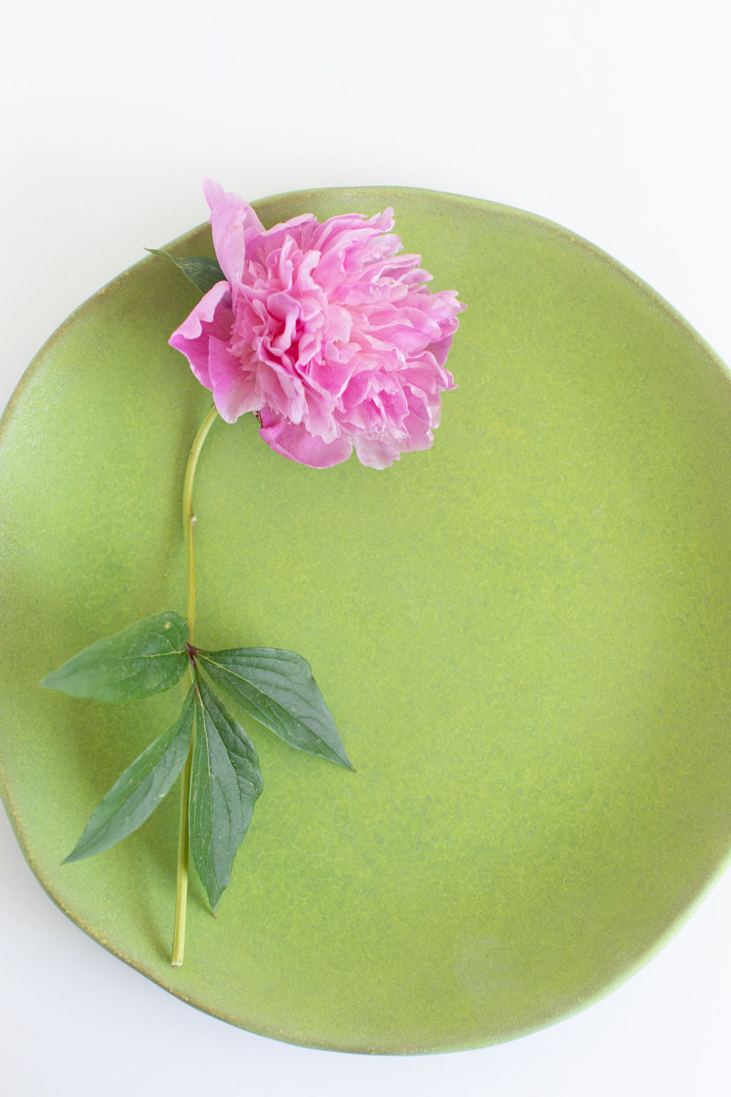 Vintage Dinner Plate