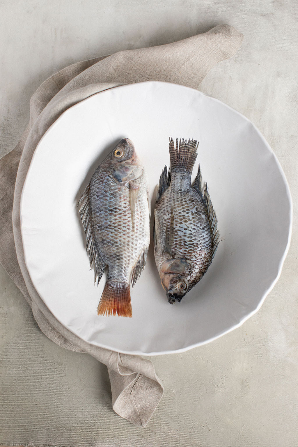 White Matte Large Serving Bowl